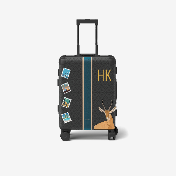 حقيبة السفر