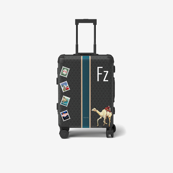 Cabin bag