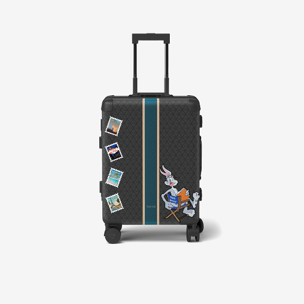 Cabin bag
