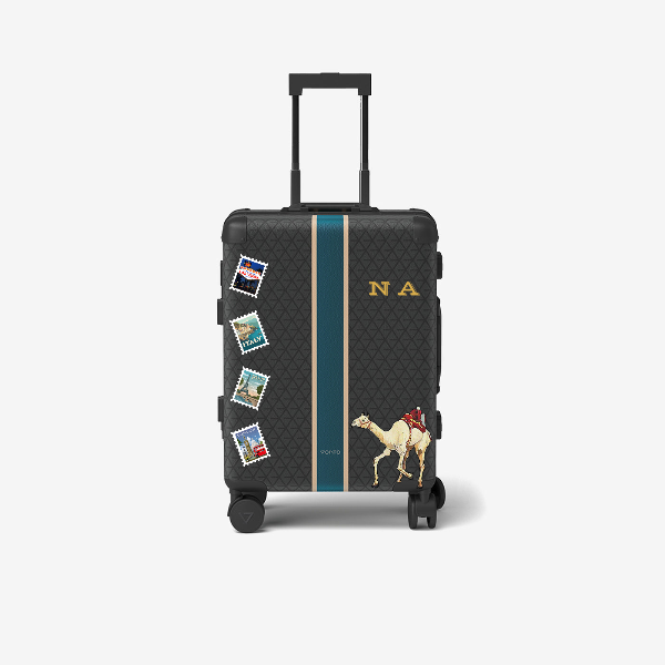 Cabin bag