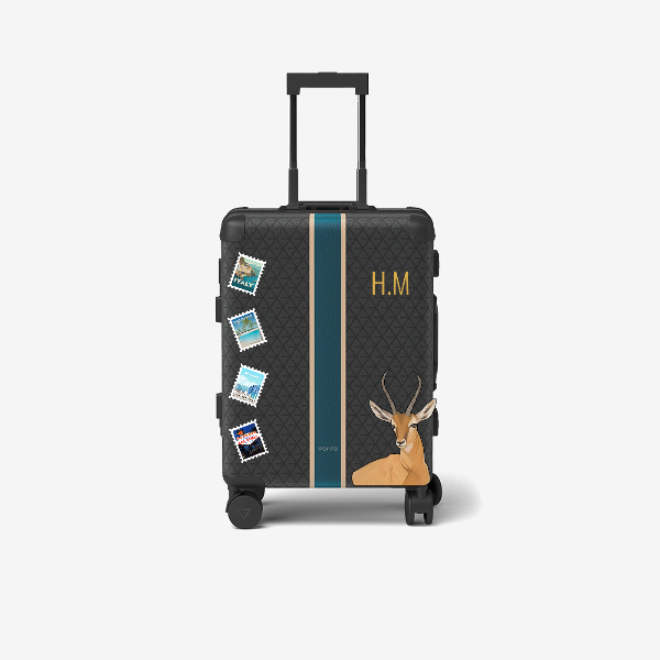 Cabin bag