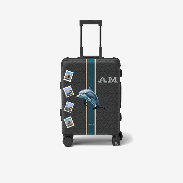 Cabin bag