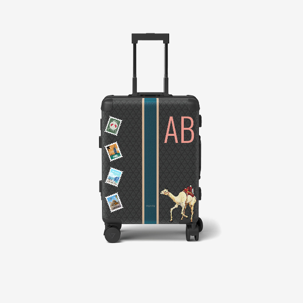 Cabin bag