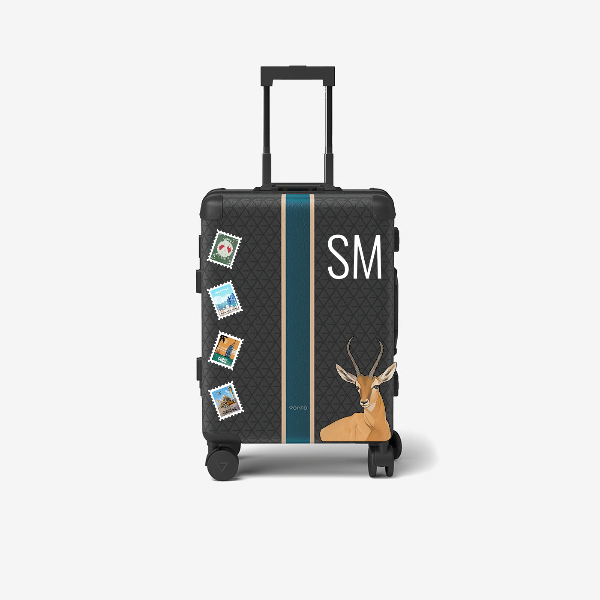 Travel Bag