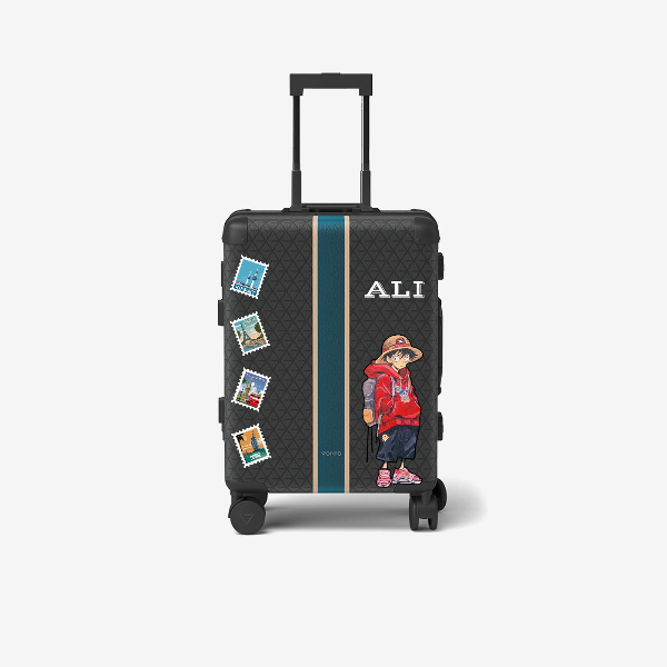 Cabin bag