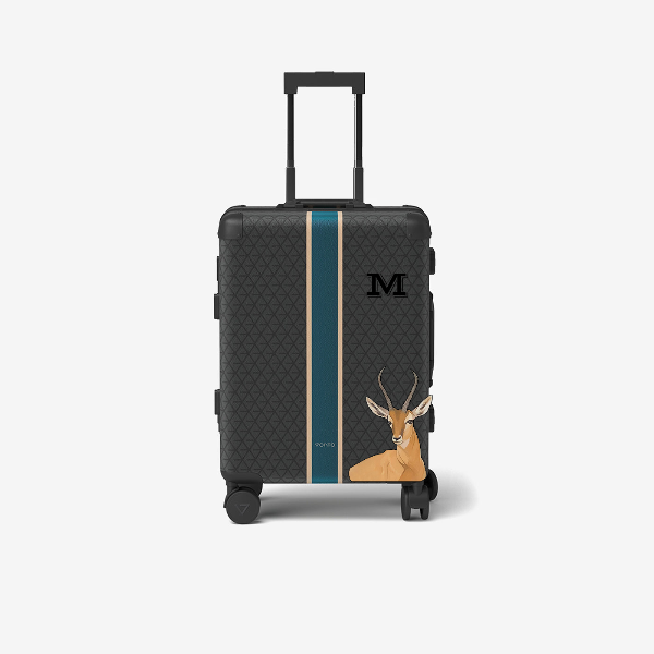 Cabin bag