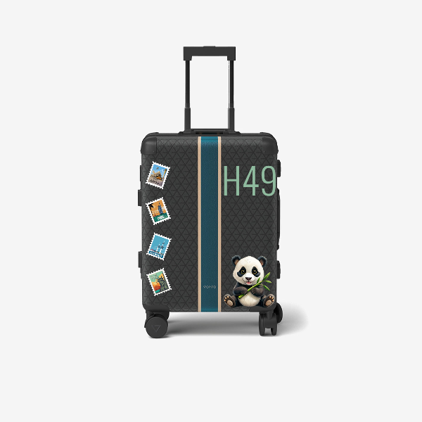 Travel Bag