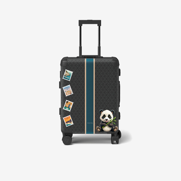 Cabin bag