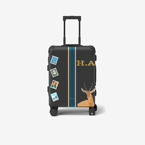 Cabin bag