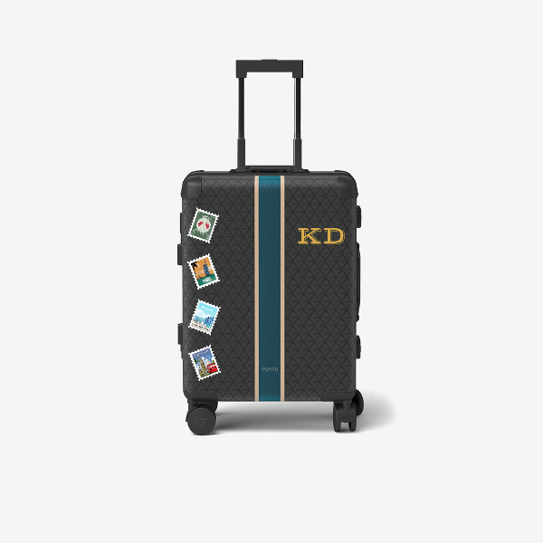 Cabin bag