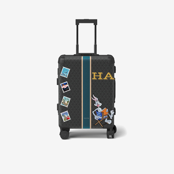 Cabin bag