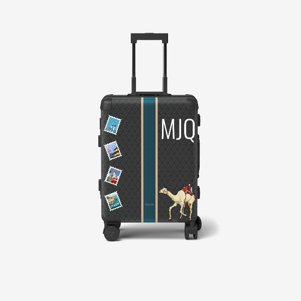 Cabin bag