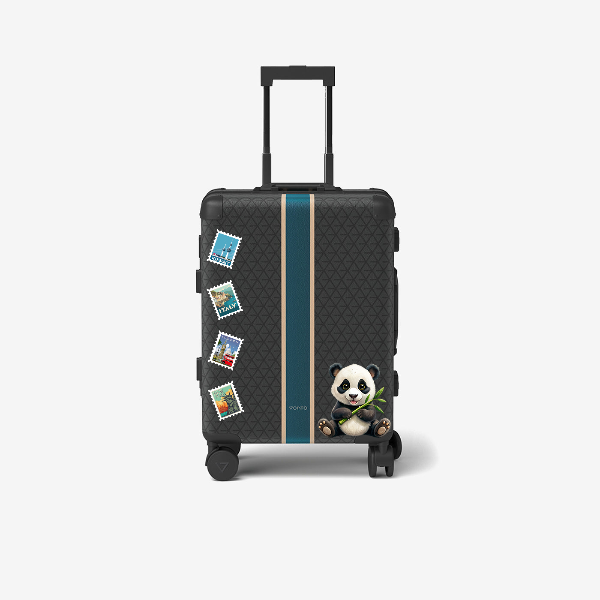 Cabin bag