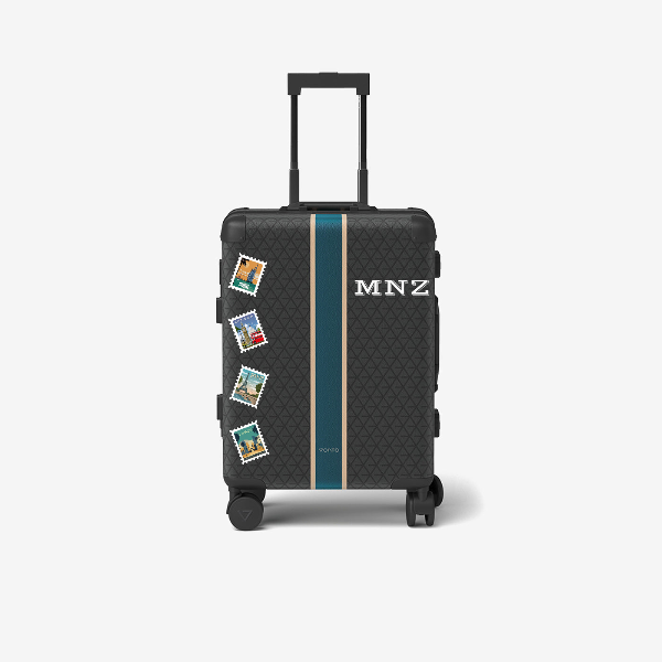 Cabin bag
