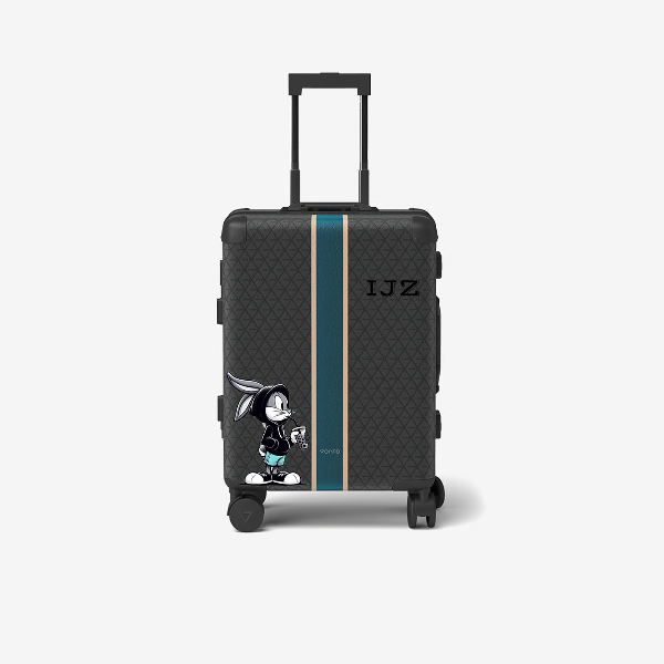 Cabin bag