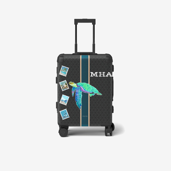 Cabin bag