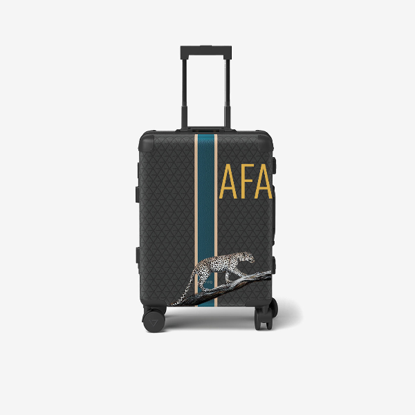 Cabin bag