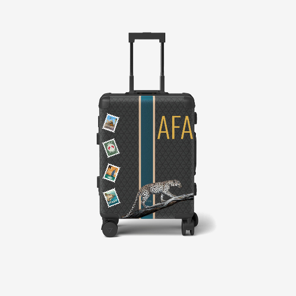 Cabin bag