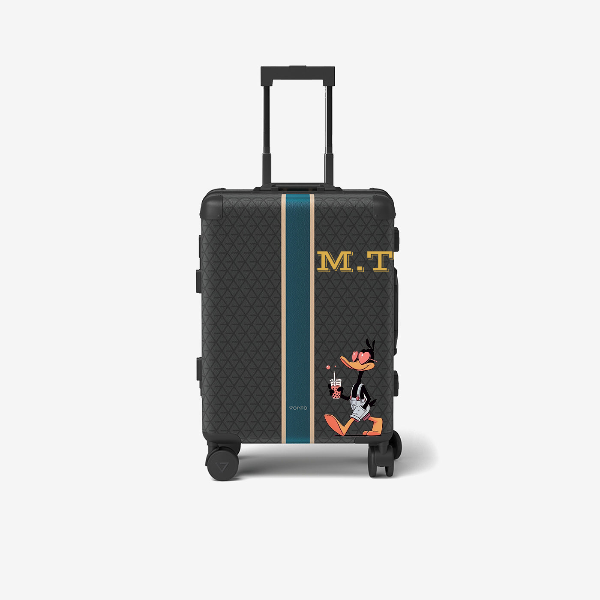 Cabin bag