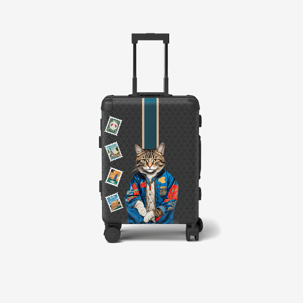 Travel Bag