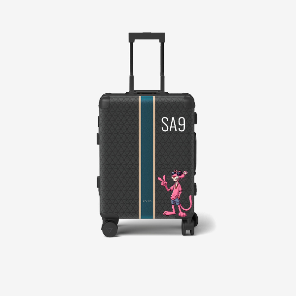 Cabin bag