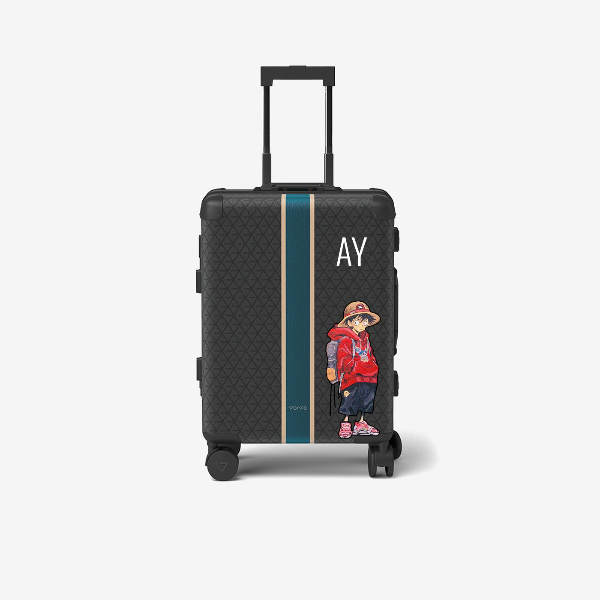 Cabin bag