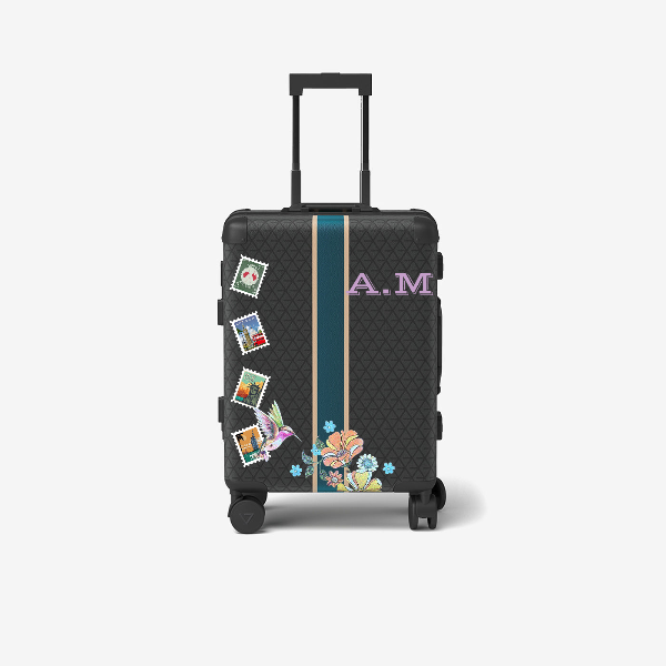 Cabin bag