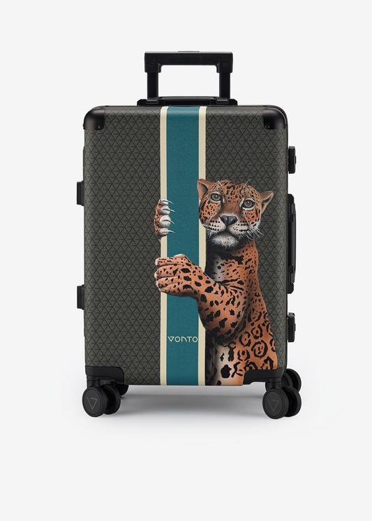 Silent Power Cabin Bag