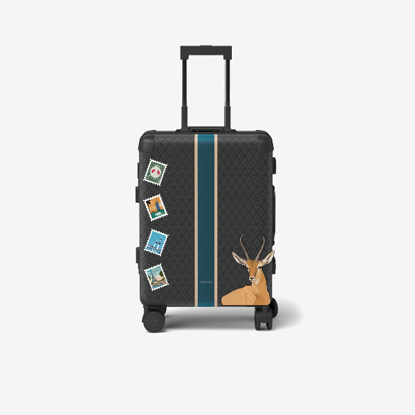 Travel bag