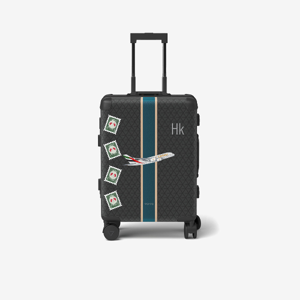 Cabin bag