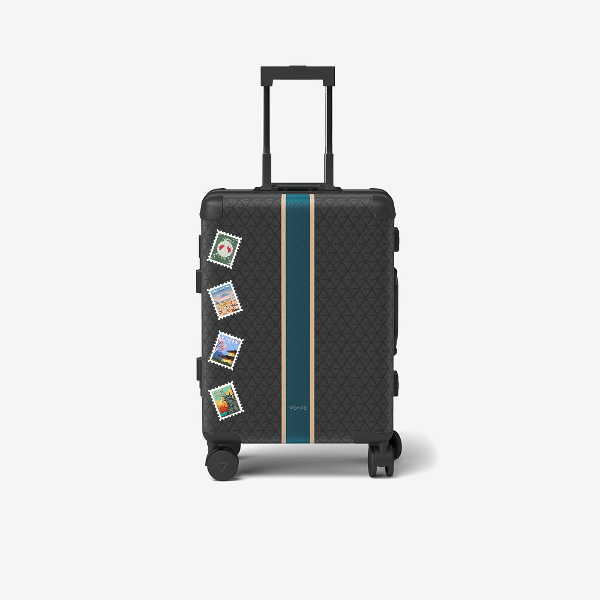 Cabin bag