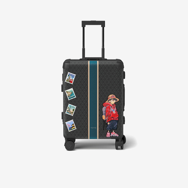 Cabin bag
