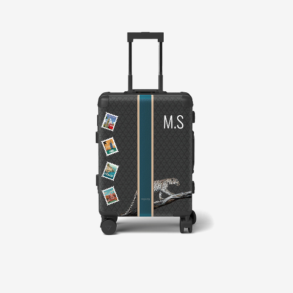 Cabin bag