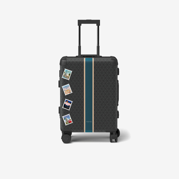 Cabin bag