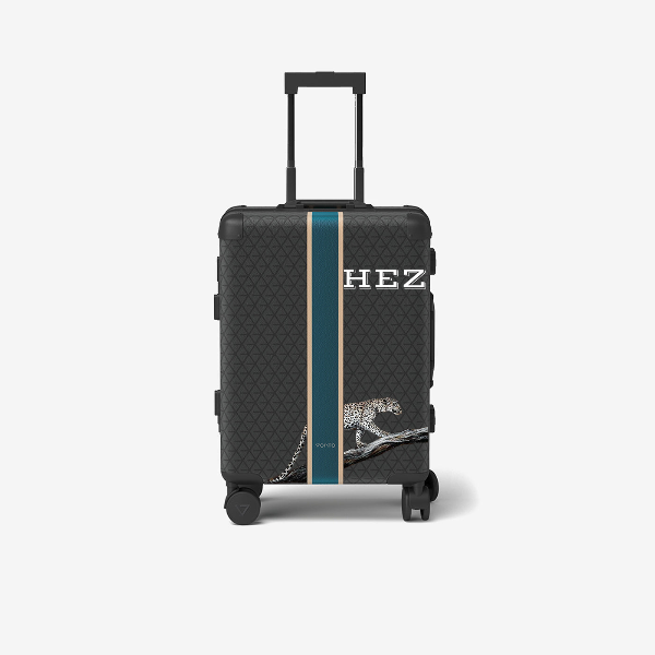 Cabin bag