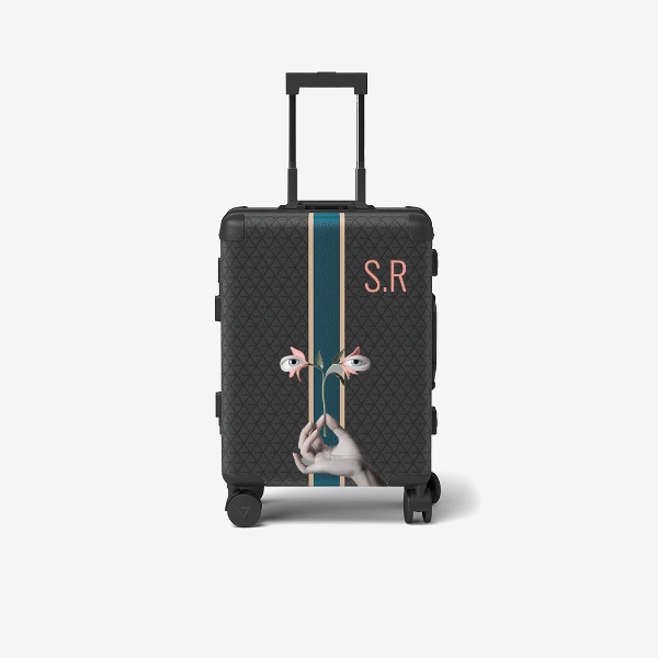 Cabin bag