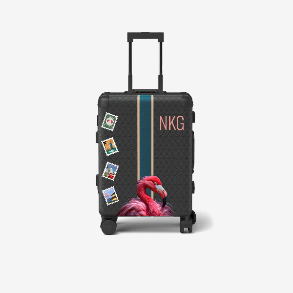 Travel Bag