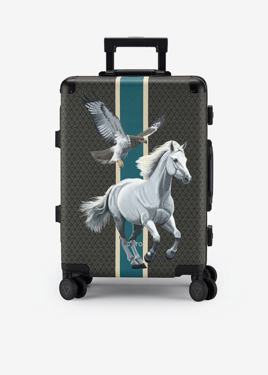 Swift Horizon Cabin bag